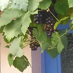 La Ferme Rose Holiday home Rupt-sur-Moselle